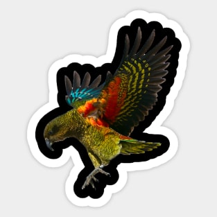 The Mountain Parrot Sticker